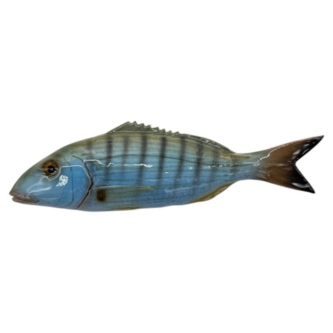 Mormora in ceramica da parete – 20 cm