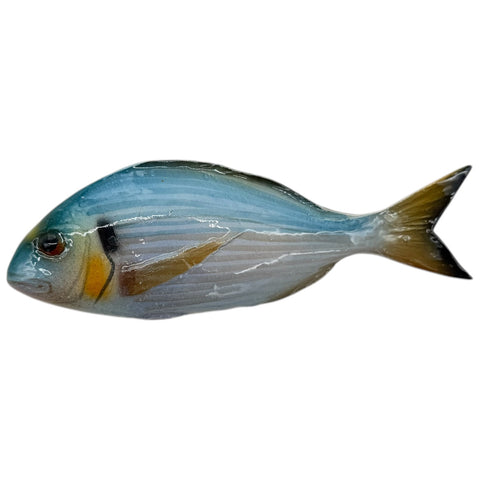 Orata in ceramica da parete – 20 cm