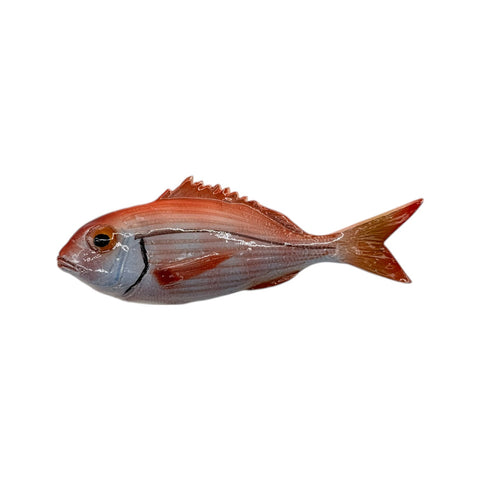 Pagello in ceramica da parete – 18 cm